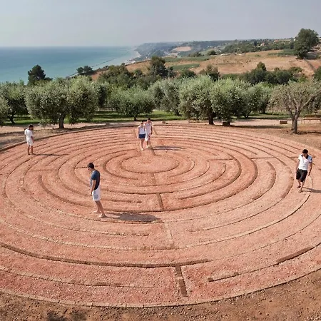Contea Dei Ciliegi *