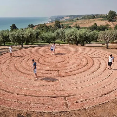 Contea Dei Ciliegi *